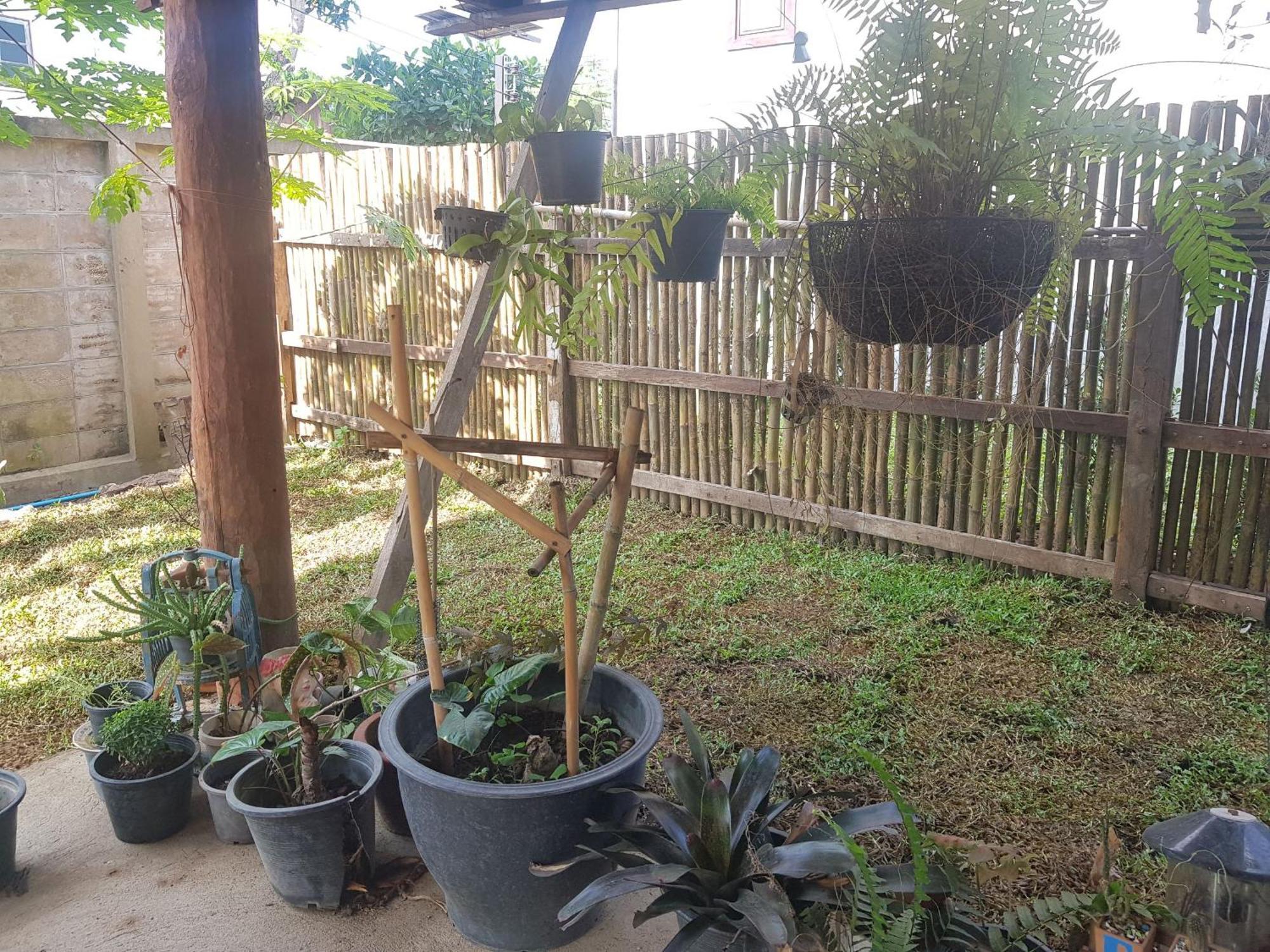 Kedthawa Homestay เฮือนเก็ดถะหวา Ban Cho Lae Exterior photo