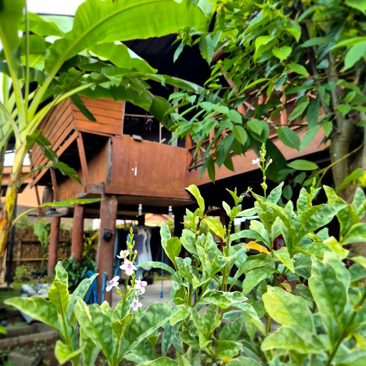 Kedthawa Homestay เฮือนเก็ดถะหวา Ban Cho Lae Exterior photo